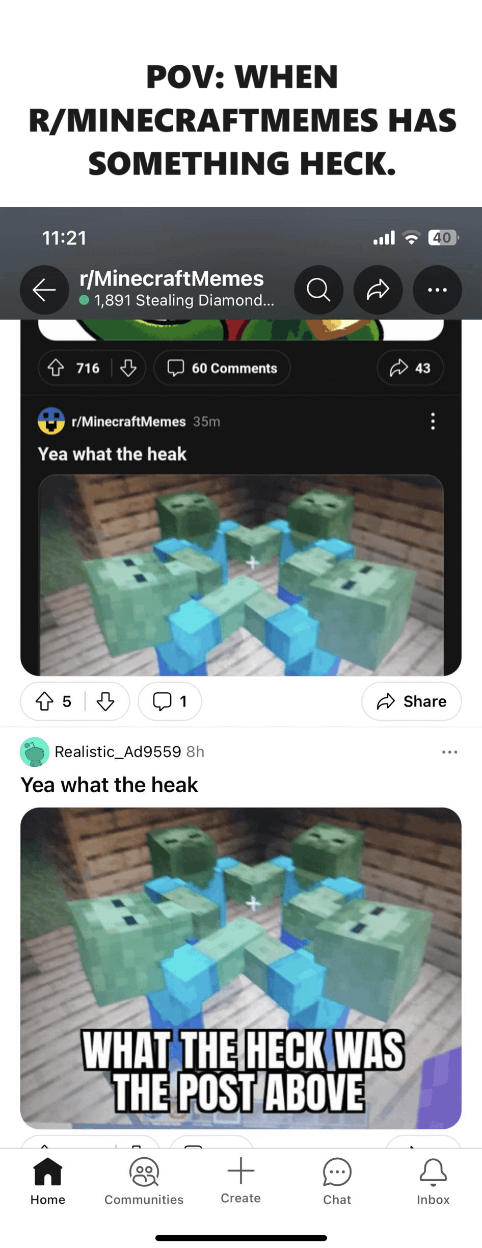 Minecraft Memes - "POV: When this has something wild."