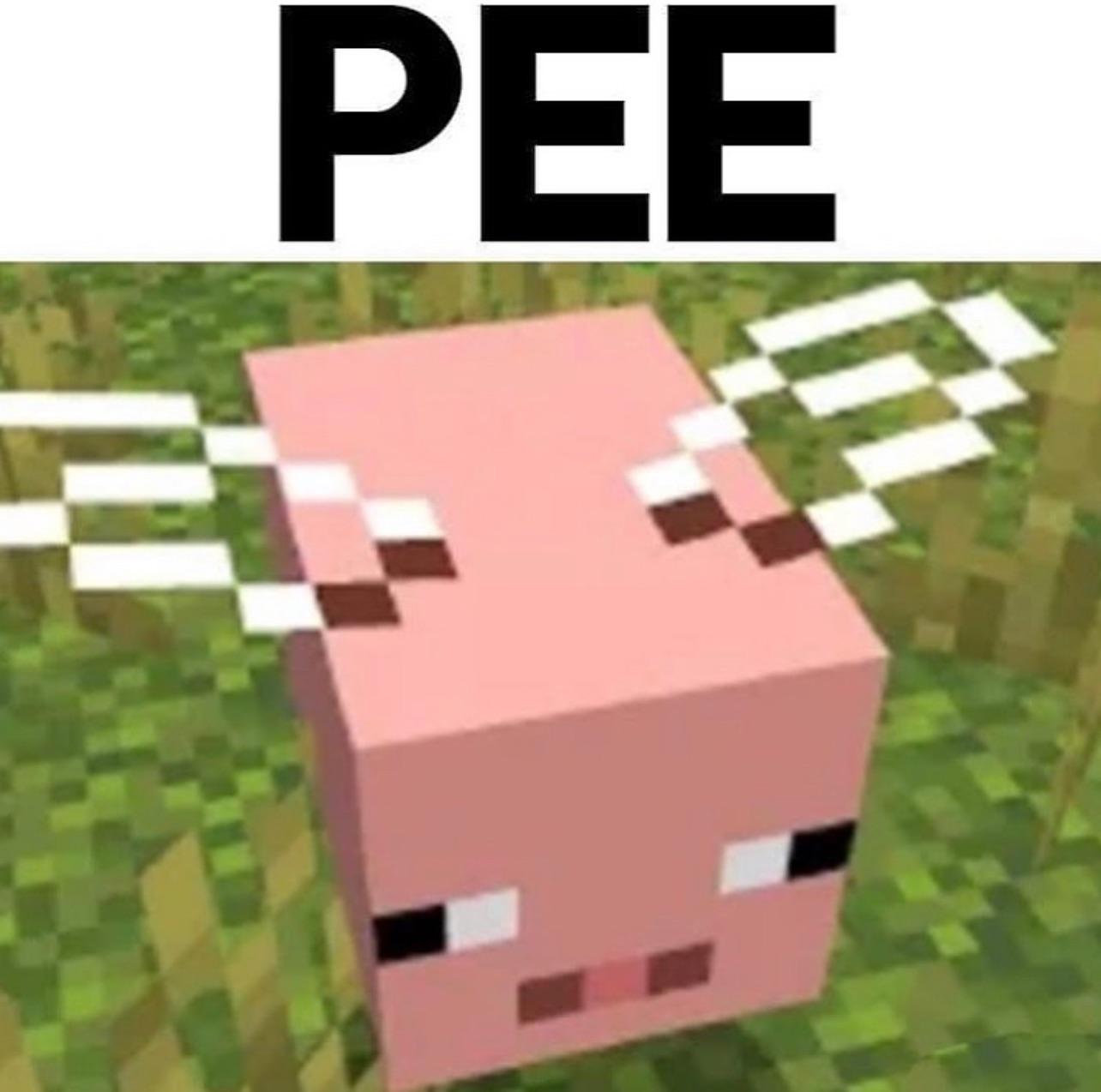 Minecraft Memes - Pee Meme Madness