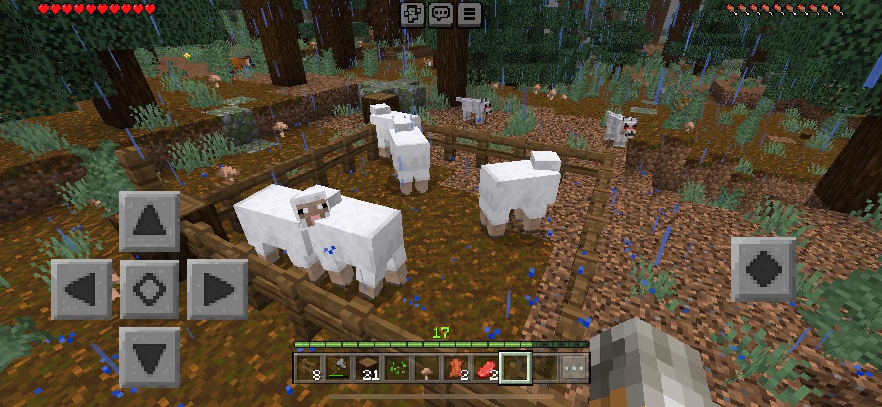 Minecraft Memes - "Protective Fence for Sheep Loving"