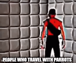 Minecraft Memes - Schizo Cave: Parrot Madness