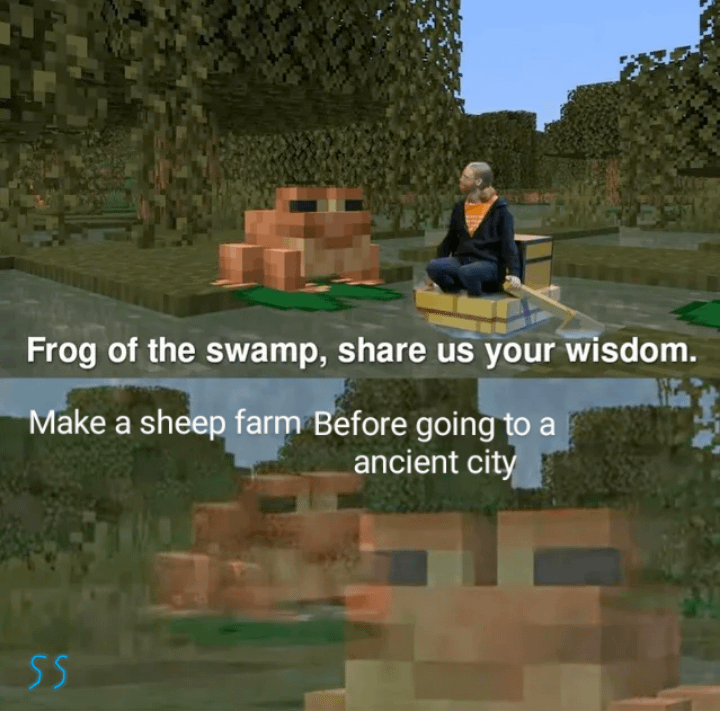 Minecraft Memes - "Signed, sealed, delivered: Card of wisdom"