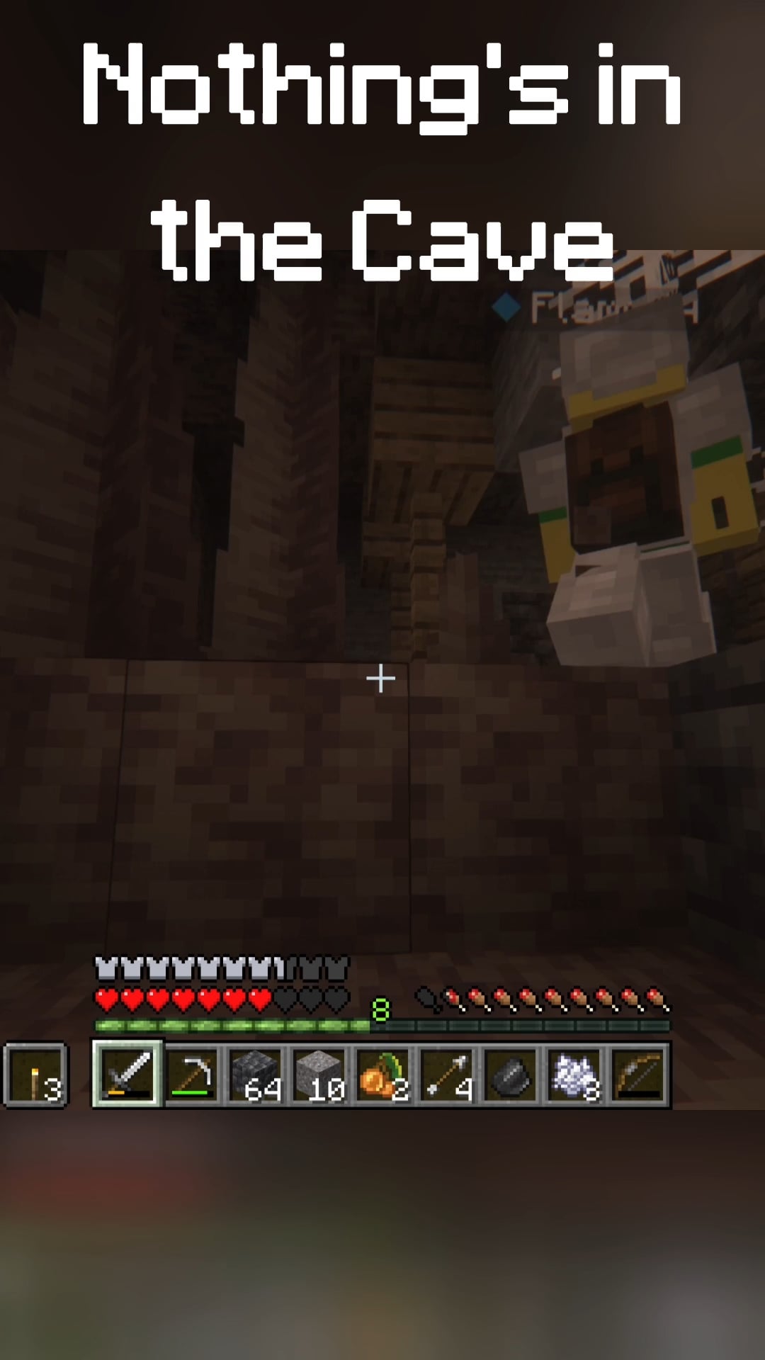 Minecraft Memes - "The Caves: NOT Peaceful"