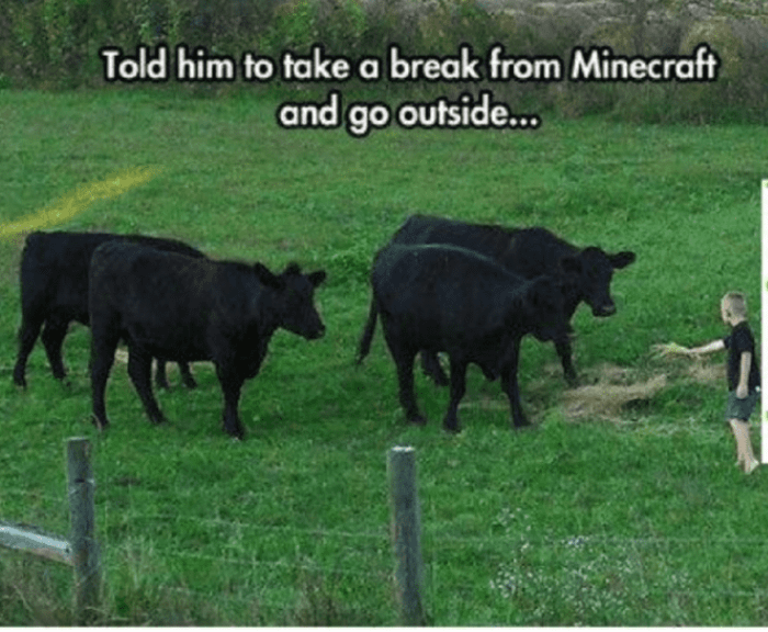 Minecraft Memes - "The kid's fault?"