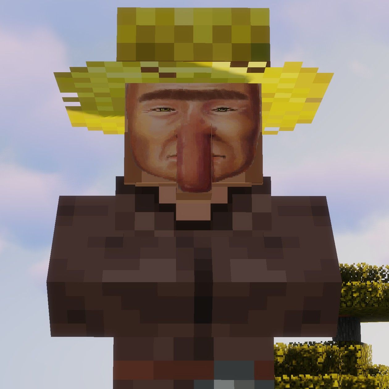 Minecraft Memes - "Villager Burglar"