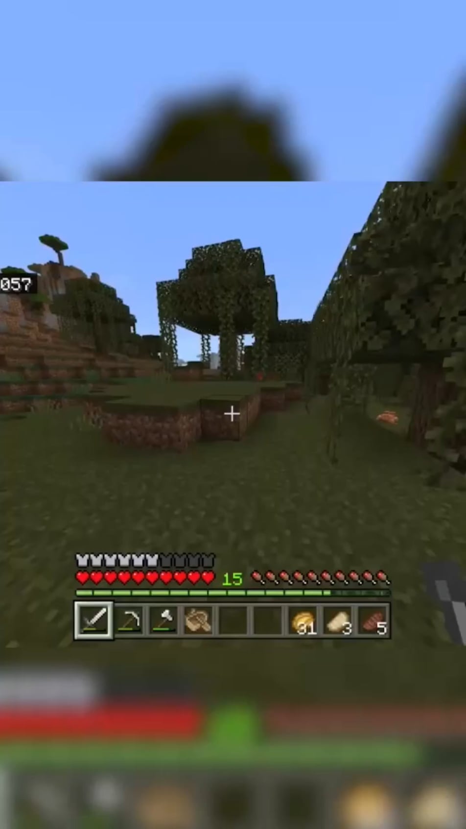 Minecraft Memes - "Watch out for Witches"