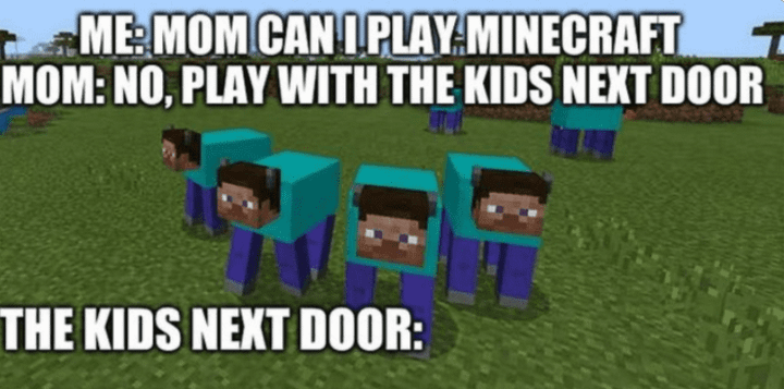 Minecraft Memes - "When Minecraft fever is lit."