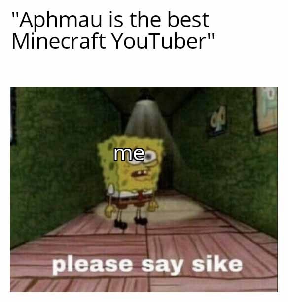 Minecraft Memes - "Why Aphmau, not others?"