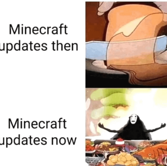 Minecraft Memes - "Back in my day..."