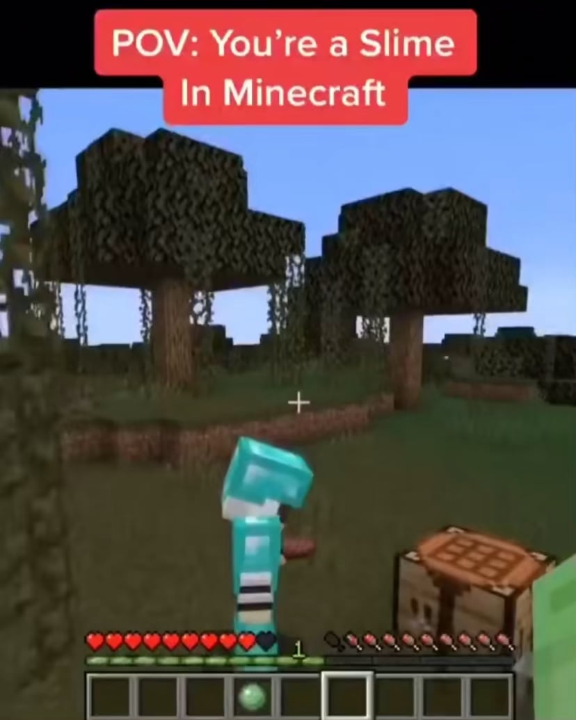 Minecraft Memes - Creepers are Shook: Twin Brother Mayhem