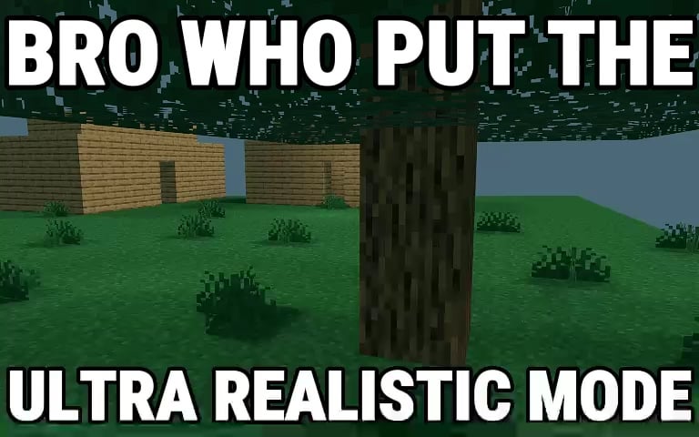 Minecraft Memes - Minecraft: Next Level Realism