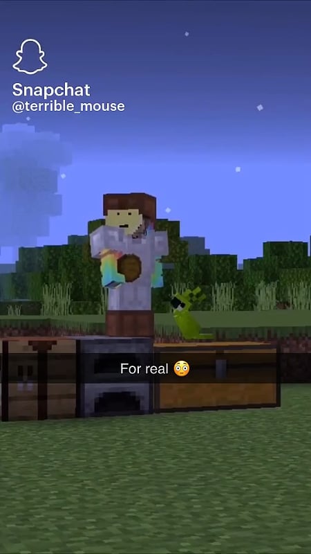 Minecraft Memes - Sassy Parrots in Minecraft