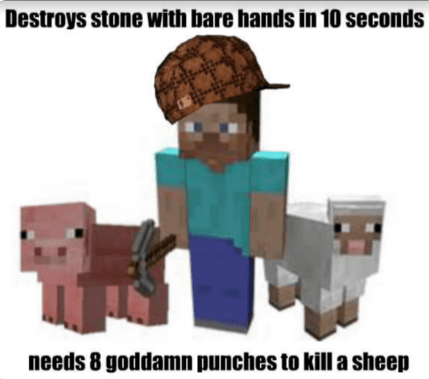 Minecraft Memes - "Steve's OP superpower"