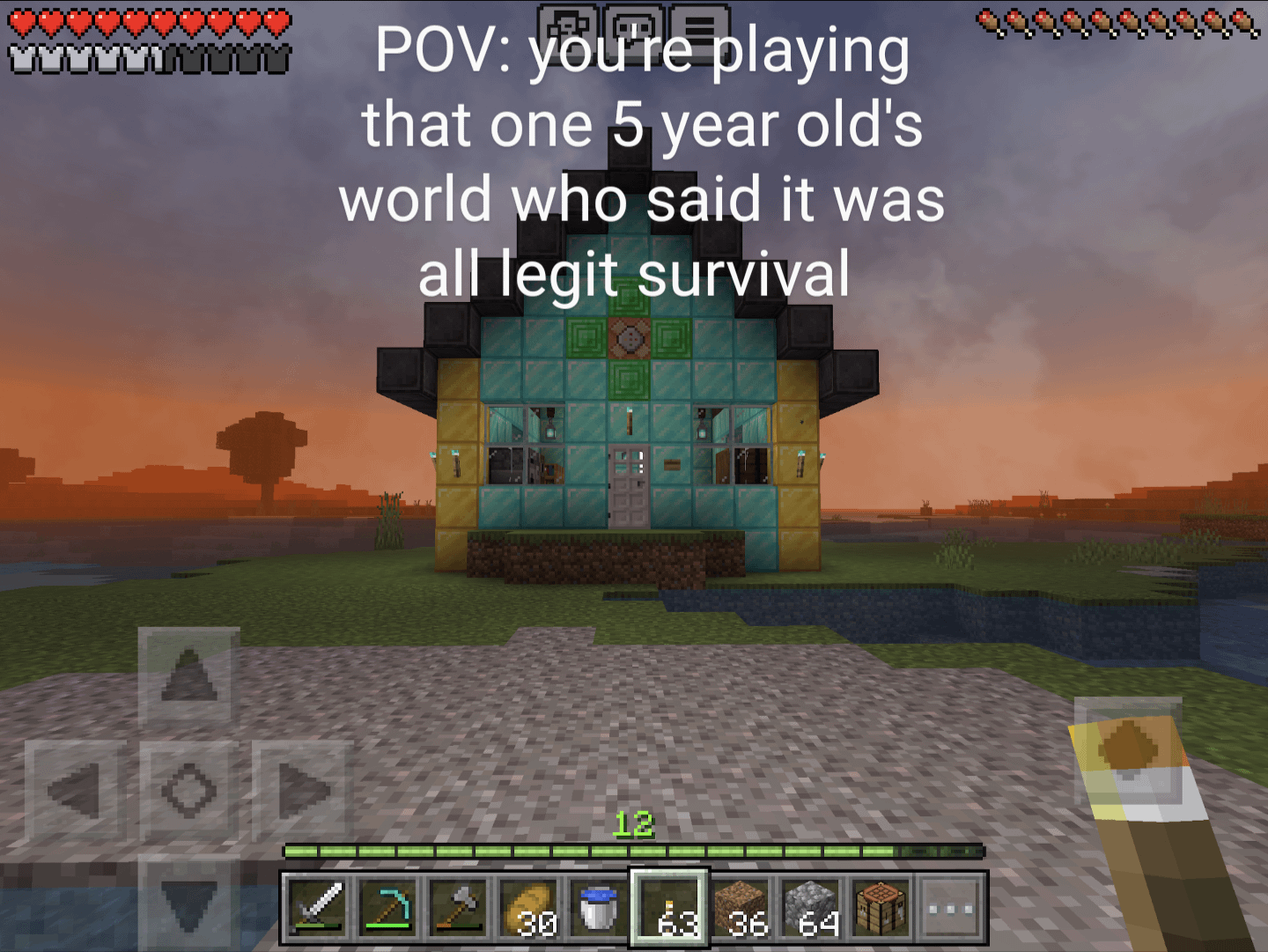 Minecraft Memes - "Surviving in a 5-year-old's world"