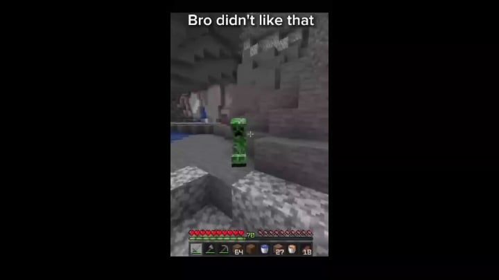 Minecraft Memes - This Bro be disliking it