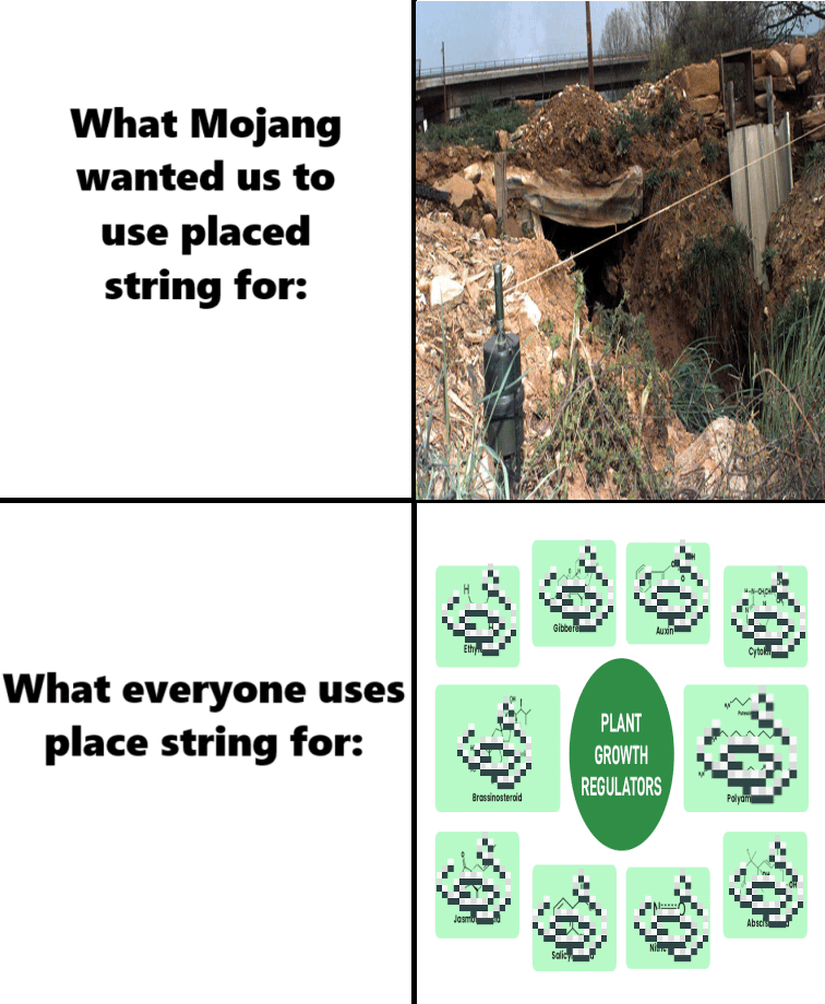 Minecraft Memes - You should've put a string on it!