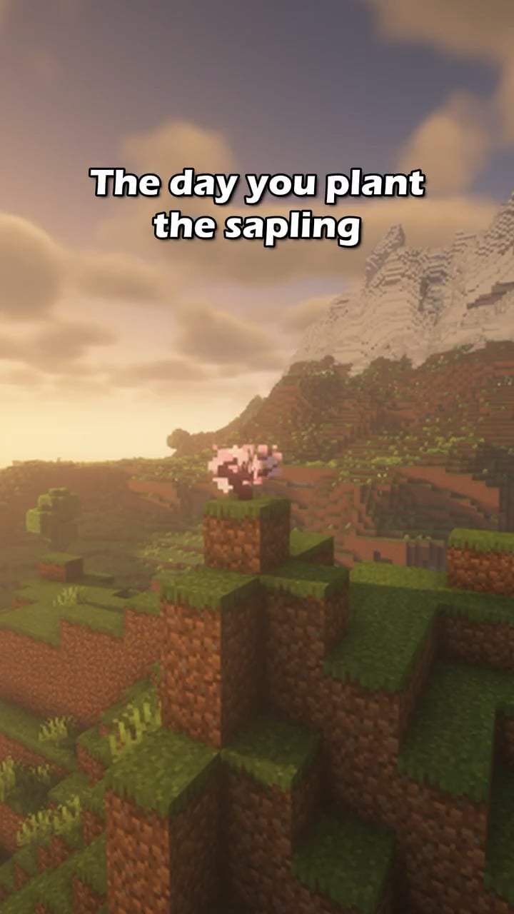 Minecraft Memes - "Leveling up takes grind"