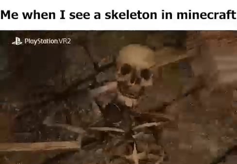 Minecraft Memes - Me When I See A Spooky Minecraft Skeleboi