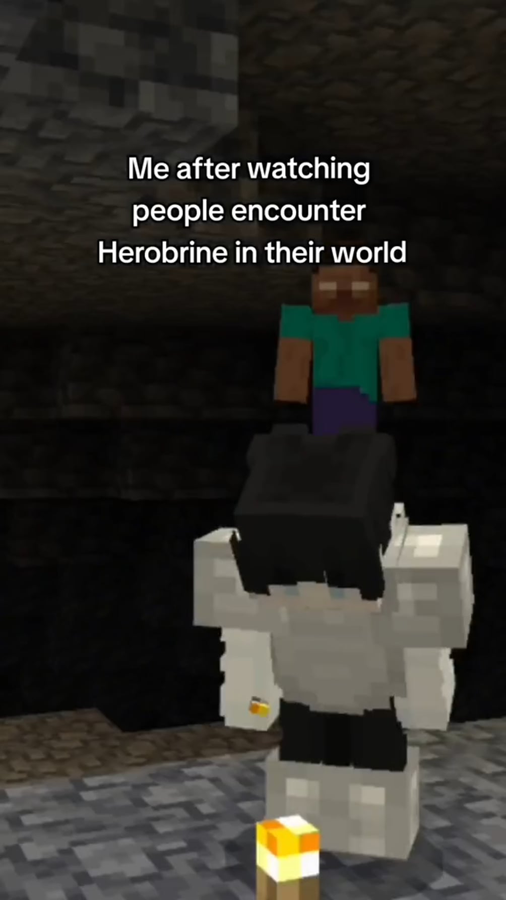 Minecraft Memes - "Me after spotting Herobrine hunters"