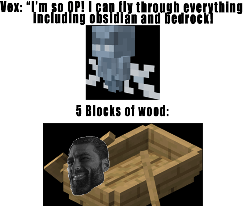 Minecraft Memes - "Me raidin' like a boss"