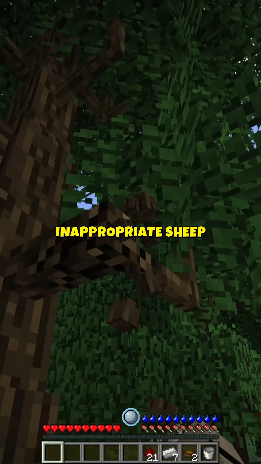 Minecraft Memes - Minecraft Memes: PG-13 Approved?