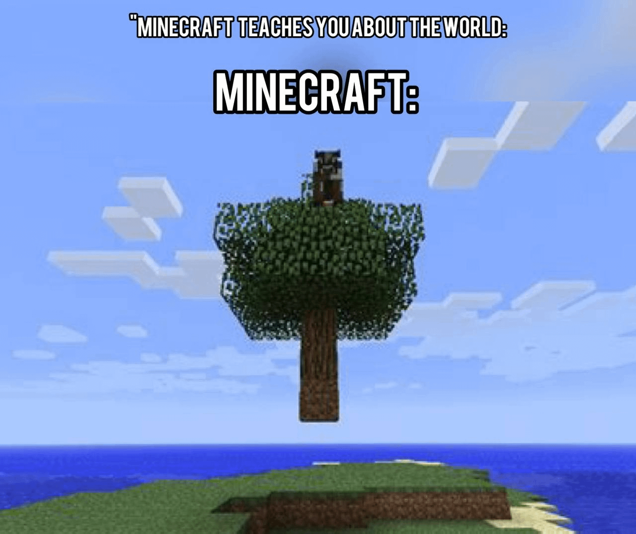 Minecraft Memes - "Minecraft: The Game I Love"