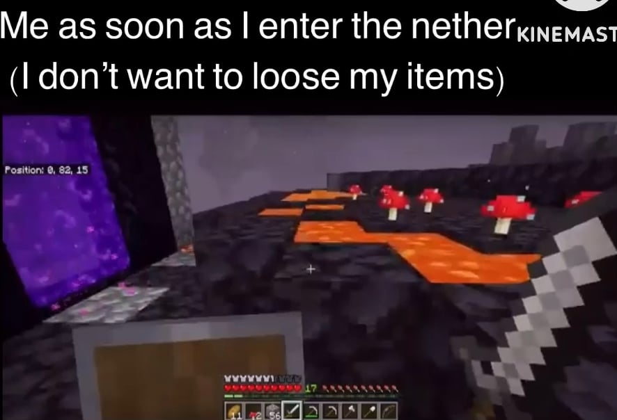 Minecraft Memes - "Secure the Nether, stat!"