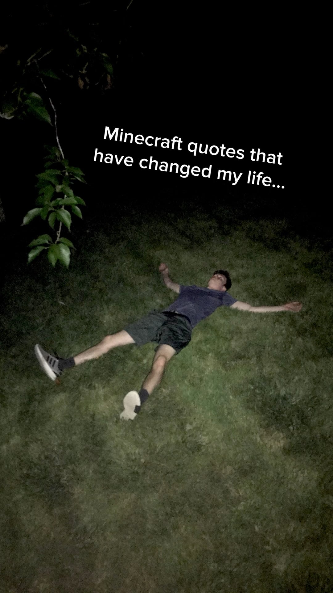 Minecraft Memes - Steve rocked my world.