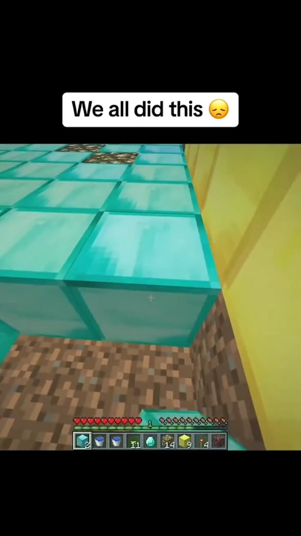 Minecraft Memes - What good memories... of lava baths.