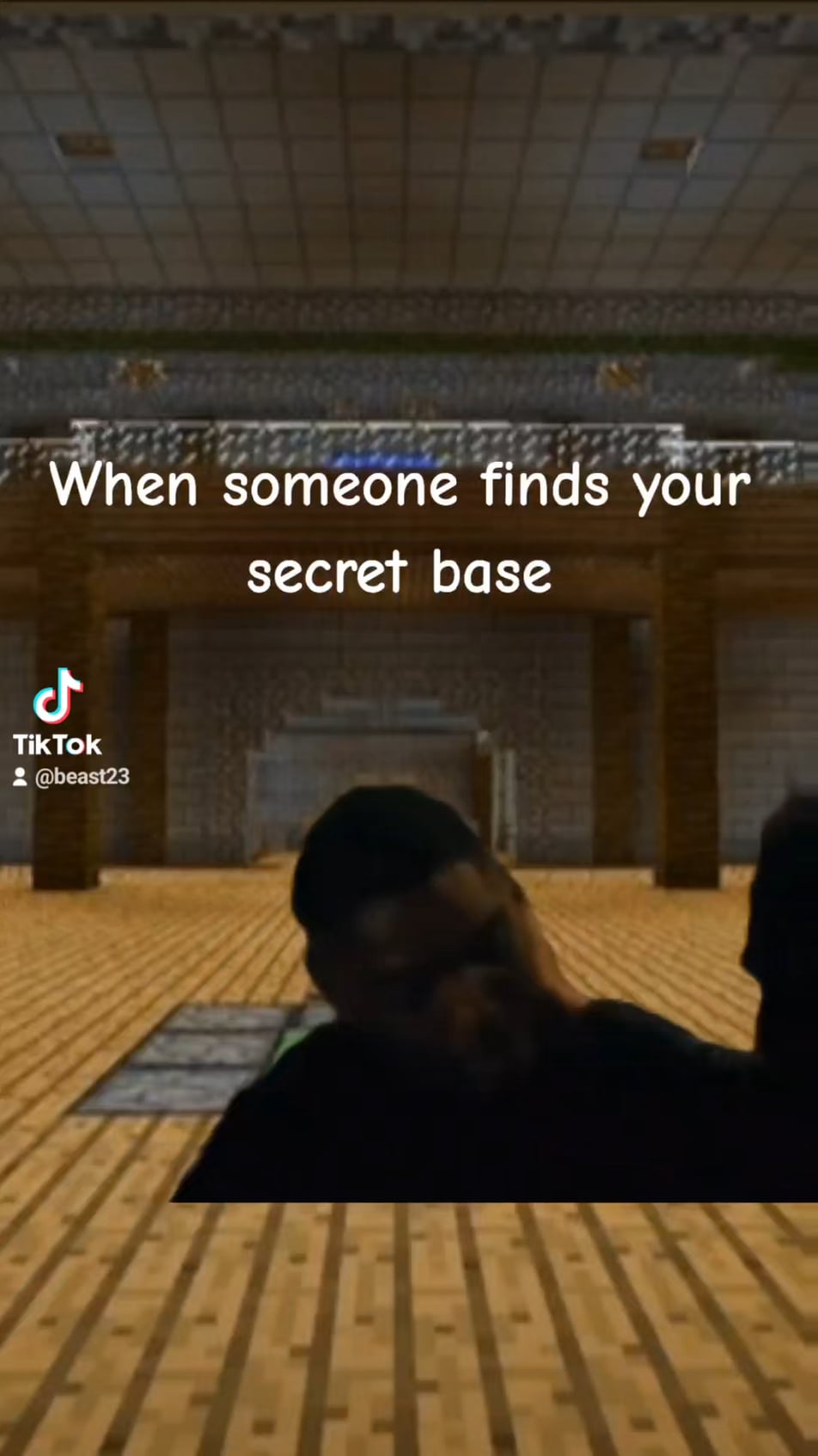 Minecraft Memes - When someone discovers your hidden lair