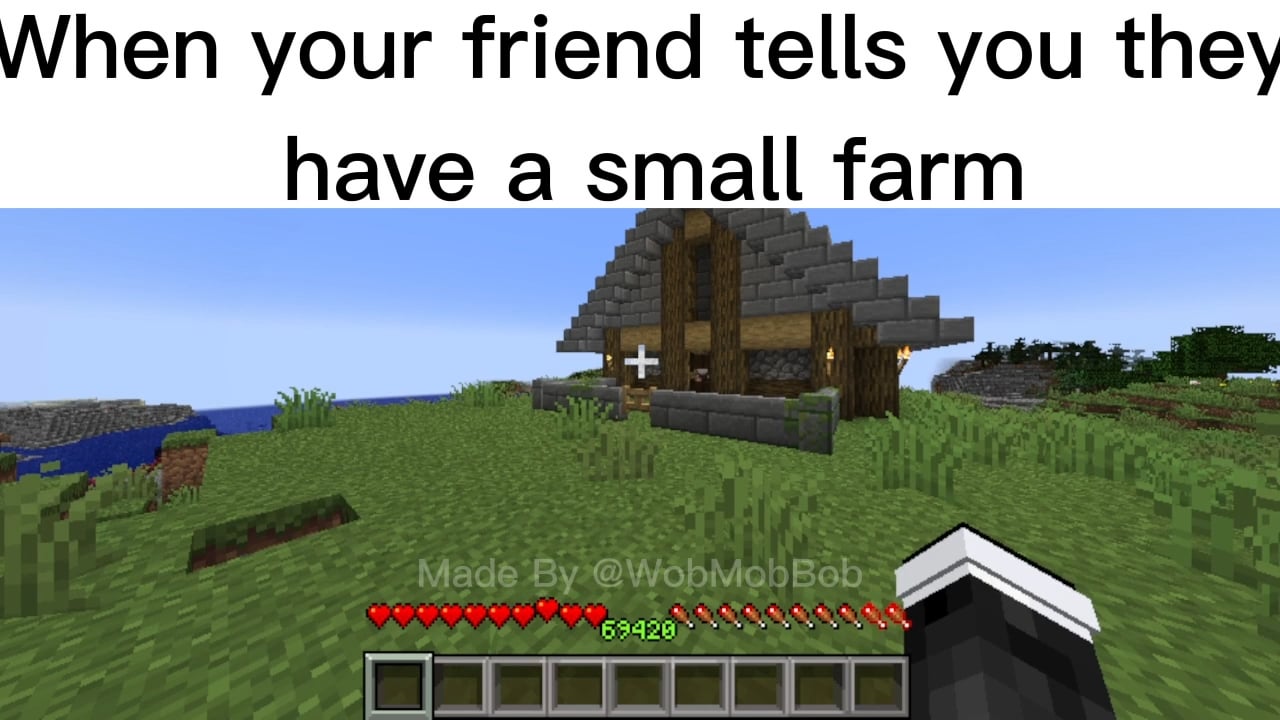 Minecraft Memes - When your friend says they have a "tiny farm".