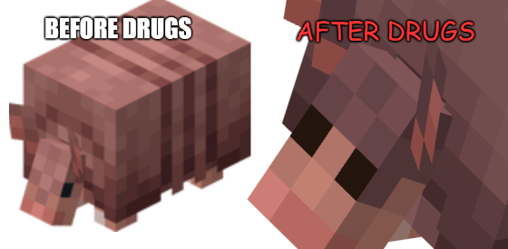 Minecraft Memes - "Zoned out armadillo"