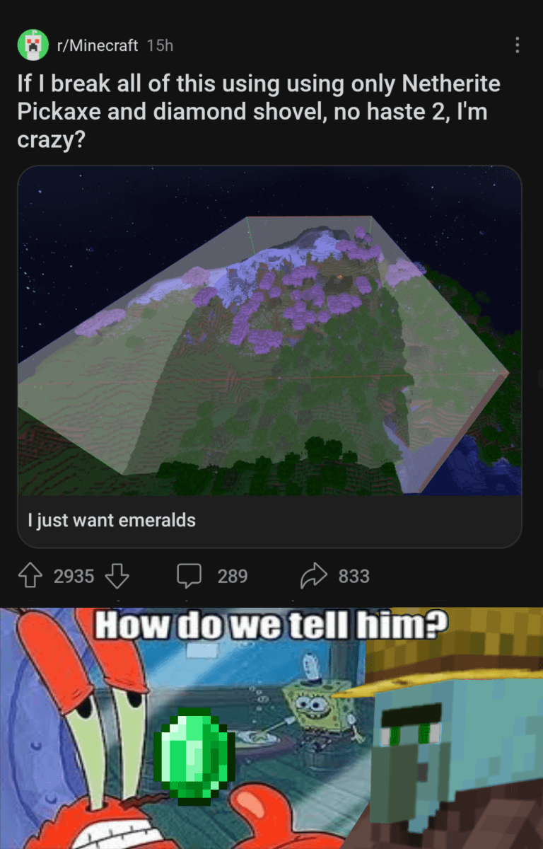 Minecraft Memes - How do we break it to him?