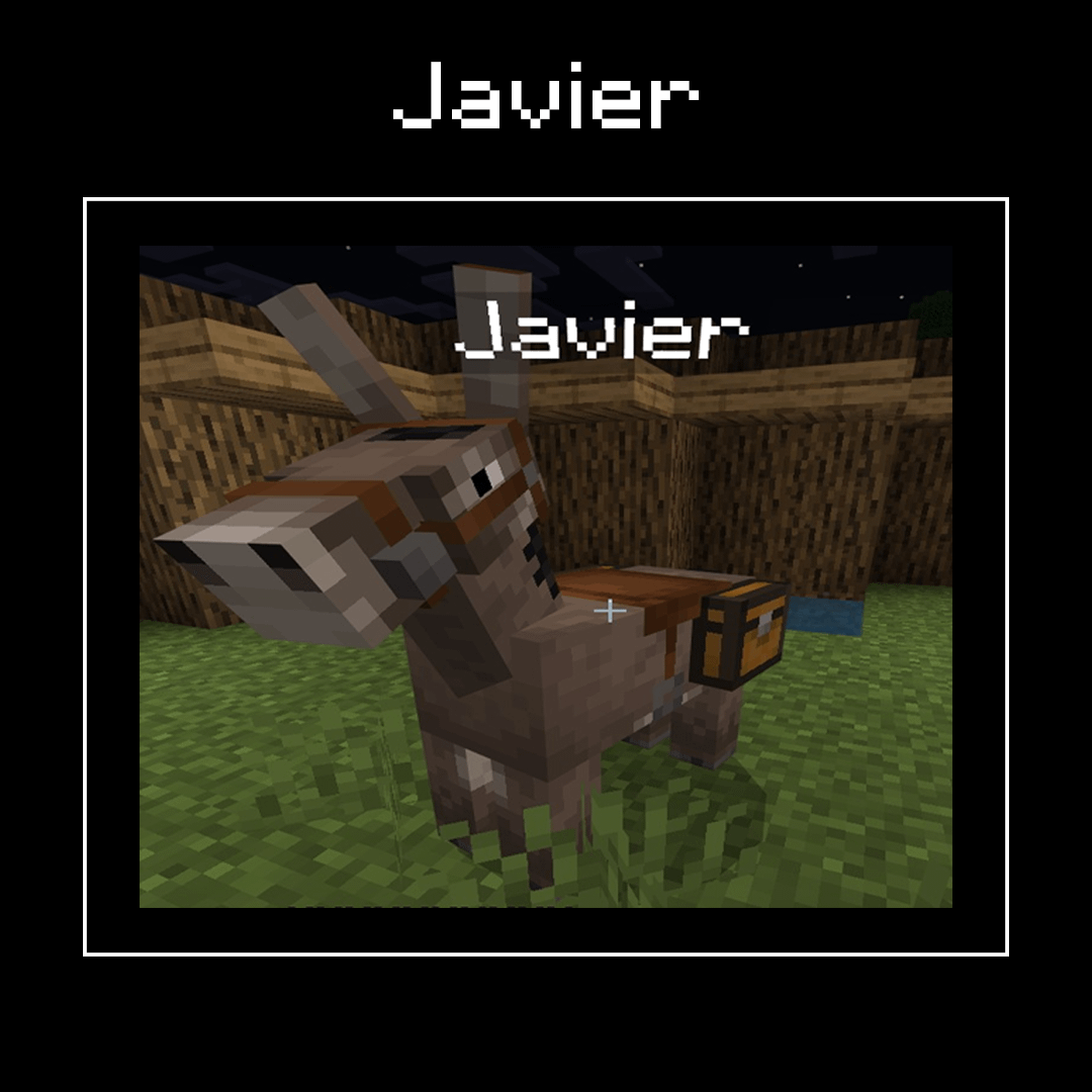 Minecraft Memes - Meet spicy Javier, wave at him! 👋🔥