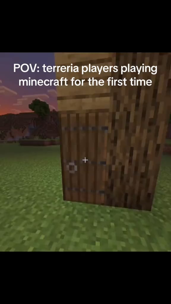 Minecraft Memes - Minecraft: How it would probably go
