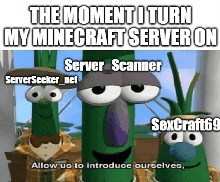 Minecraft Memes - Whitelist Only? More Like Forced!