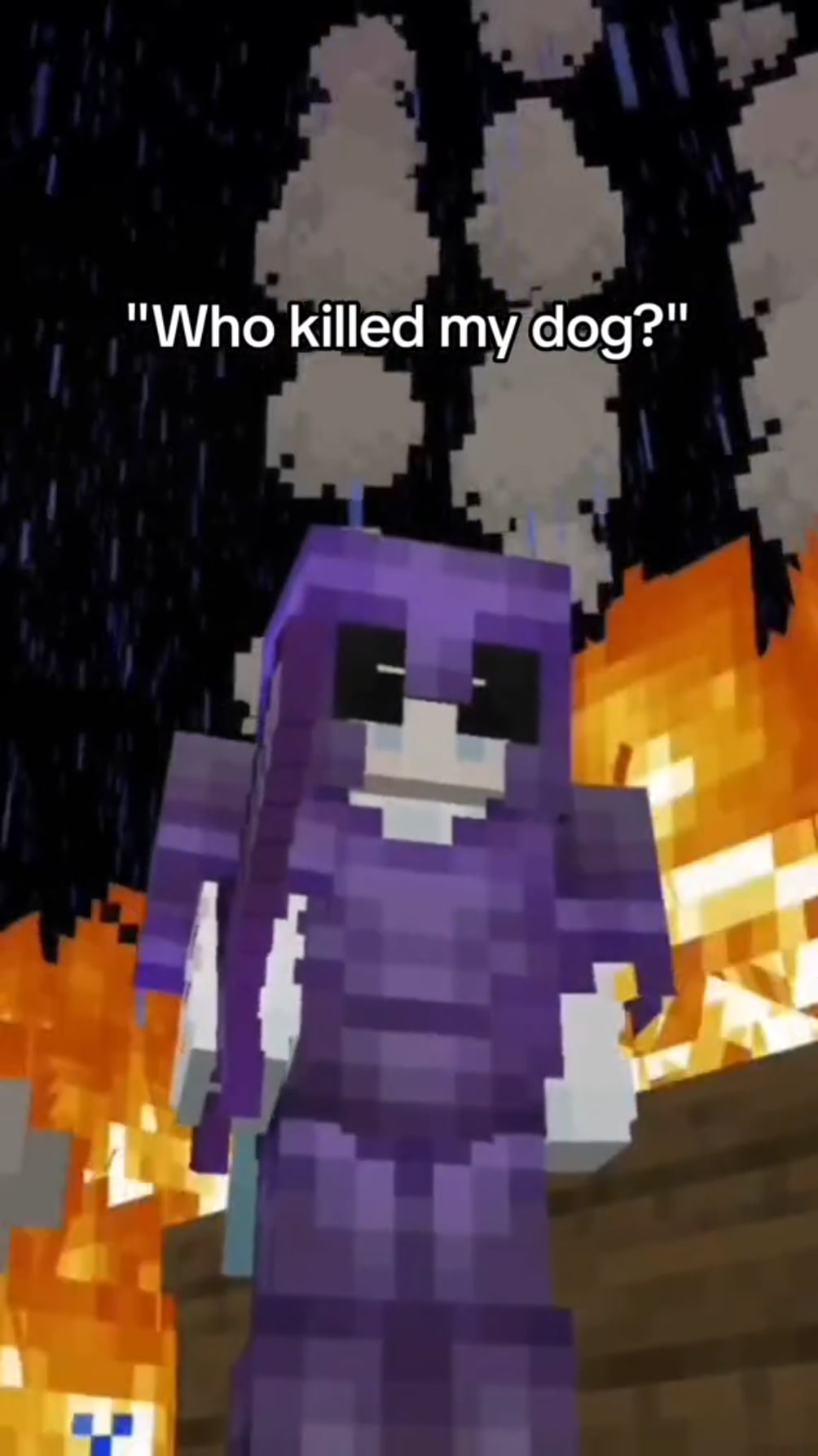 Minecraft Memes - Who TF killed my dog? 😡