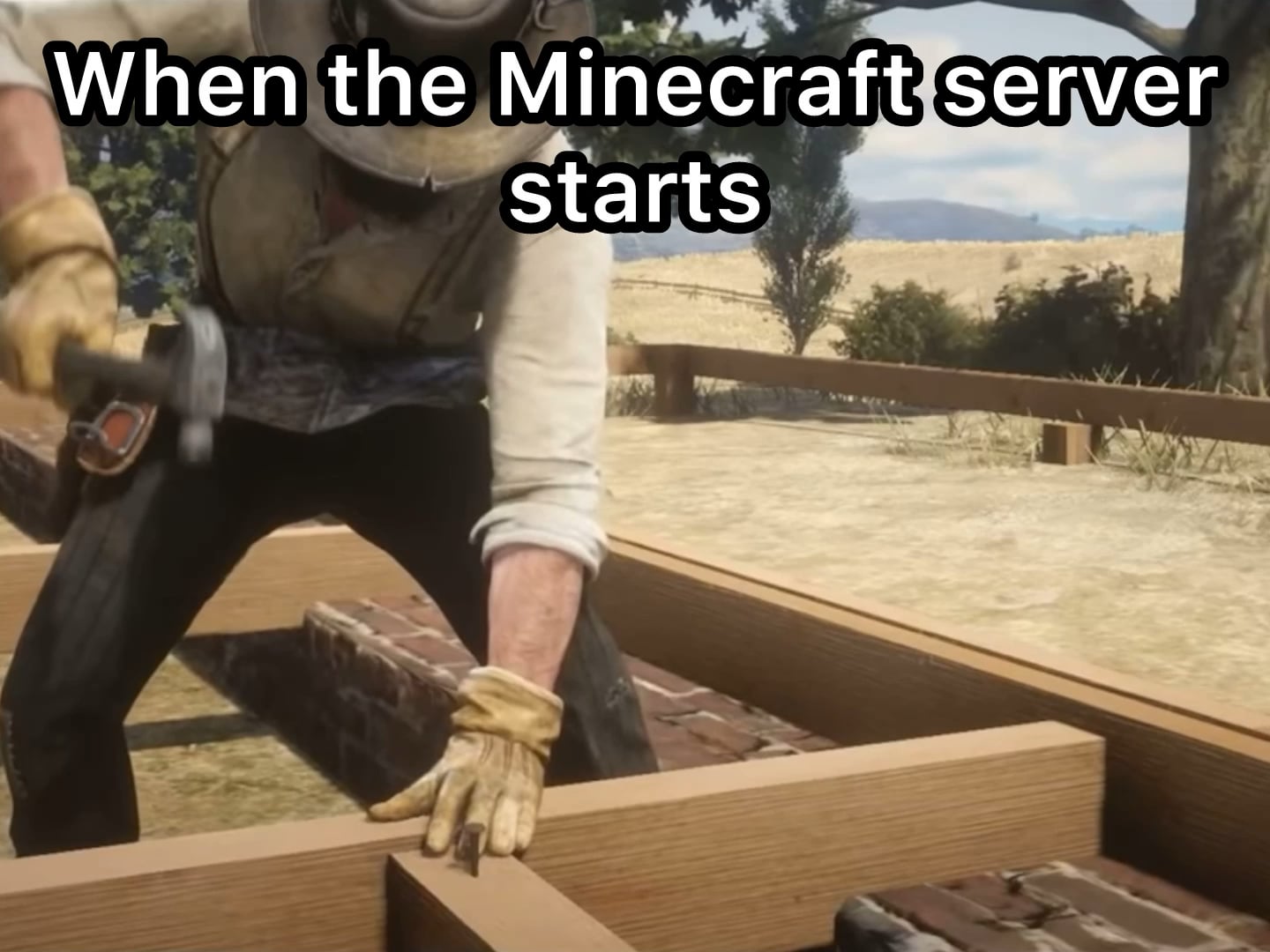 Minecraft Memes - 2 weeks deep on every server