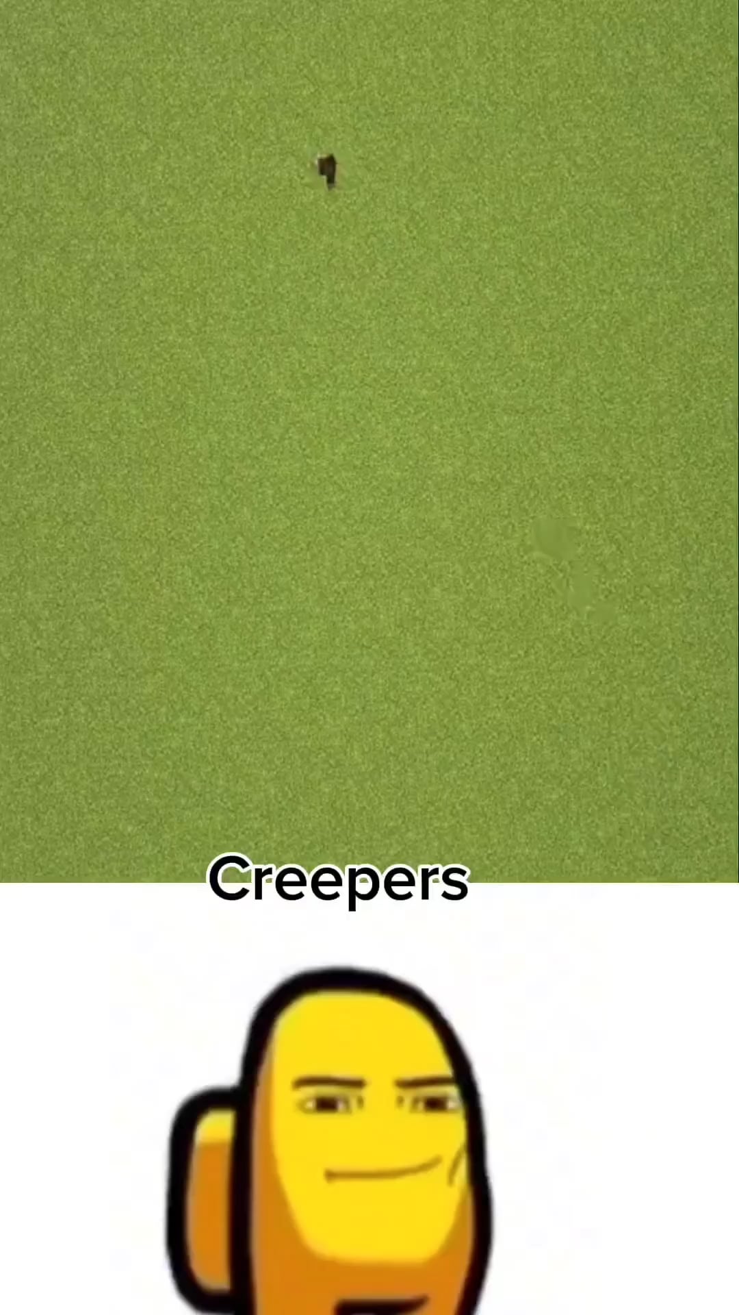Minecraft Memes - Creepers be like: Sizzle and Boom