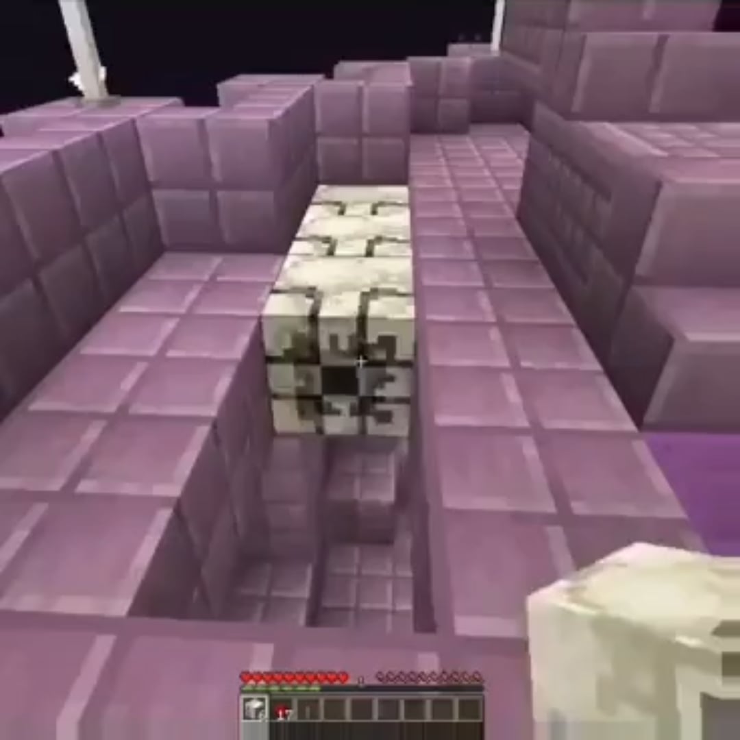 Minecraft Memes - The End Ship Disaster!
