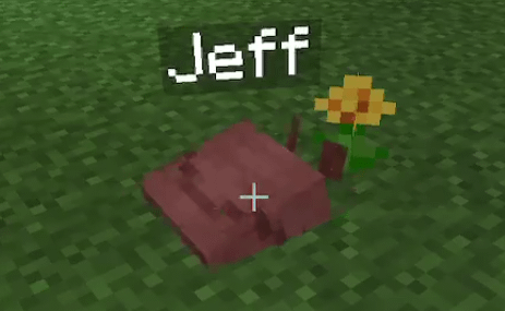 Minecraft Memes - Jeff's spicy Minecraft adventures