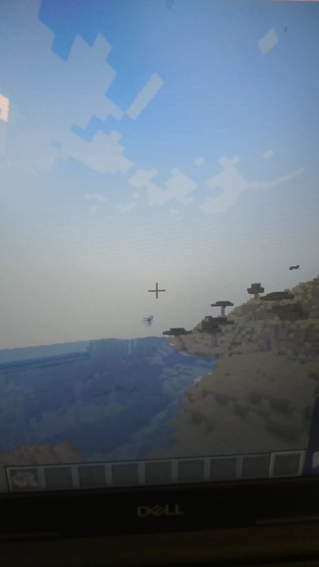 Minecraft Memes - Squid Takes Flight! 🦑✈