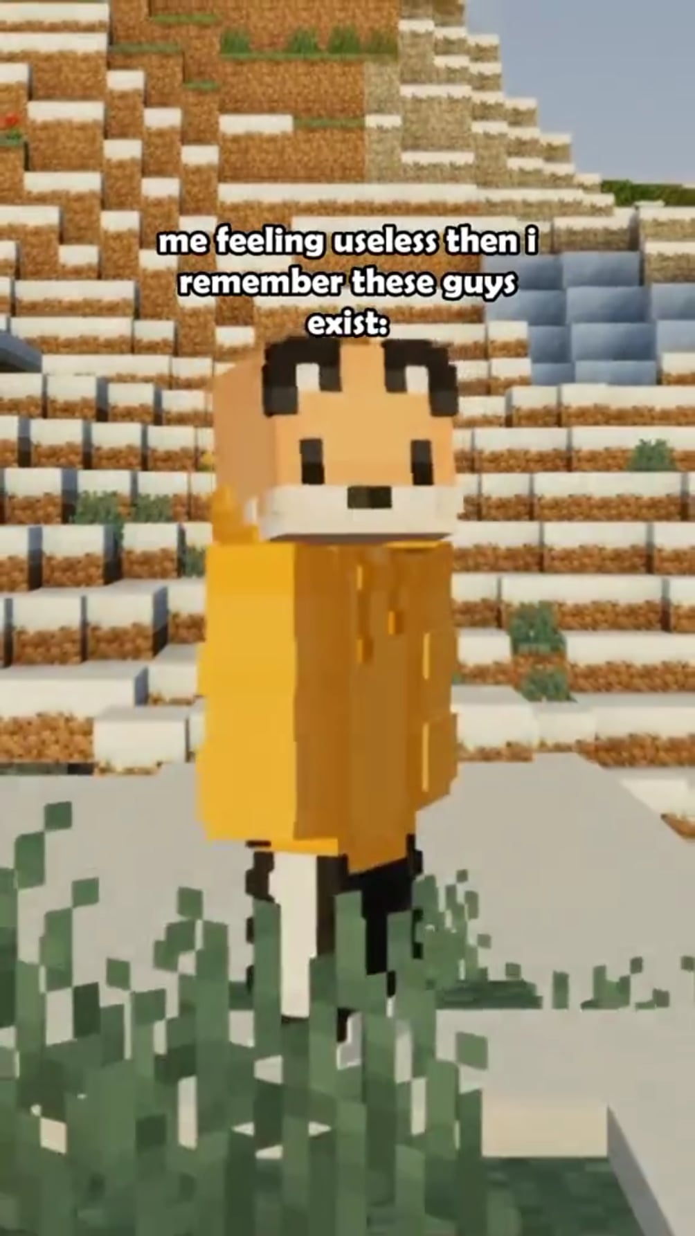 Minecraft Memes - Useless? Remember this Minecraft dude