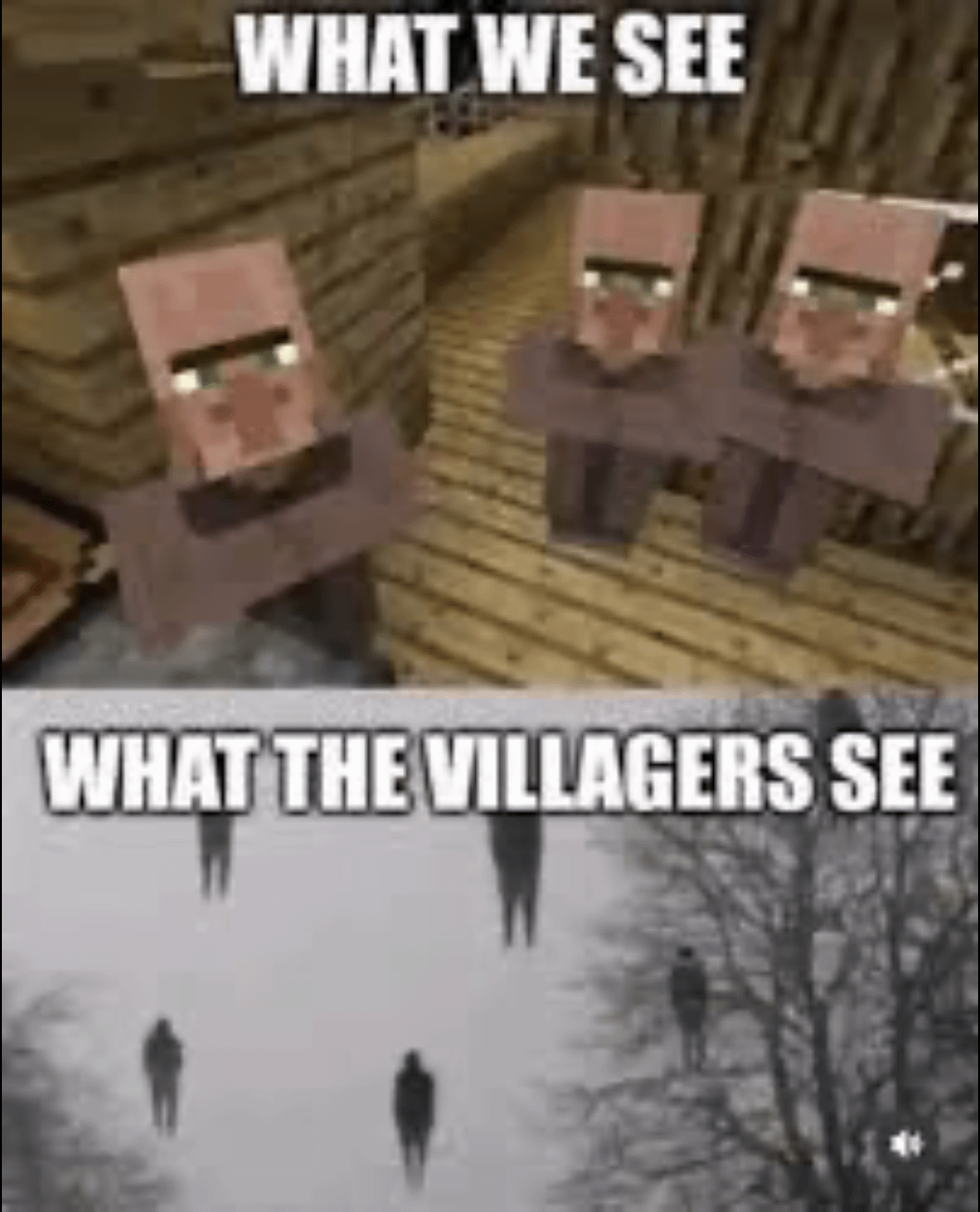 Minecraft Memes - Villagers Scammed