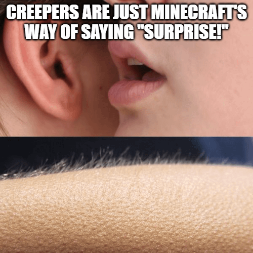 Minecraft Memes - "Creeper Got 'Em Chills"