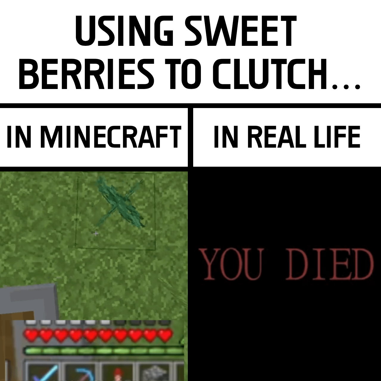 Minecraft Memes - Never attempt this!