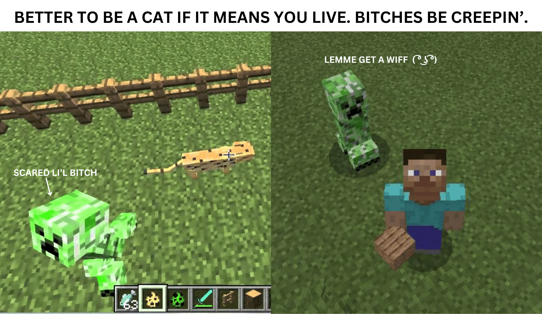 Minecraft Memes - CREEPY BITCHES BE CREEPIN'