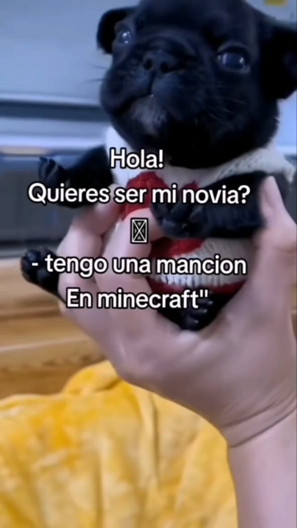 Minecraft Memes - "Hola, enemigo de Minecraft"