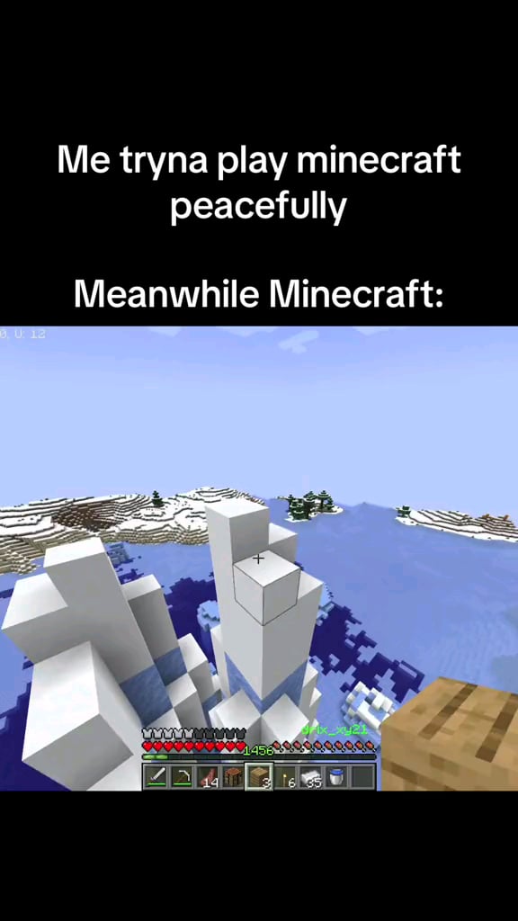 Minecraft Memes - I just wanted to play peacefully😂