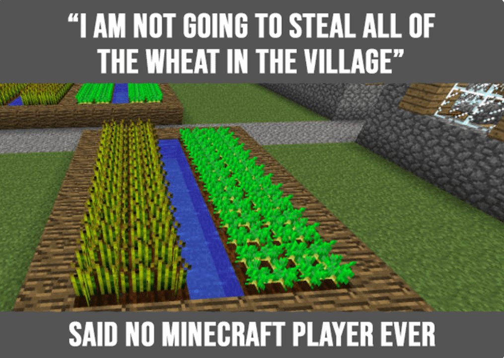 Minecraft Memes - Who skips these?