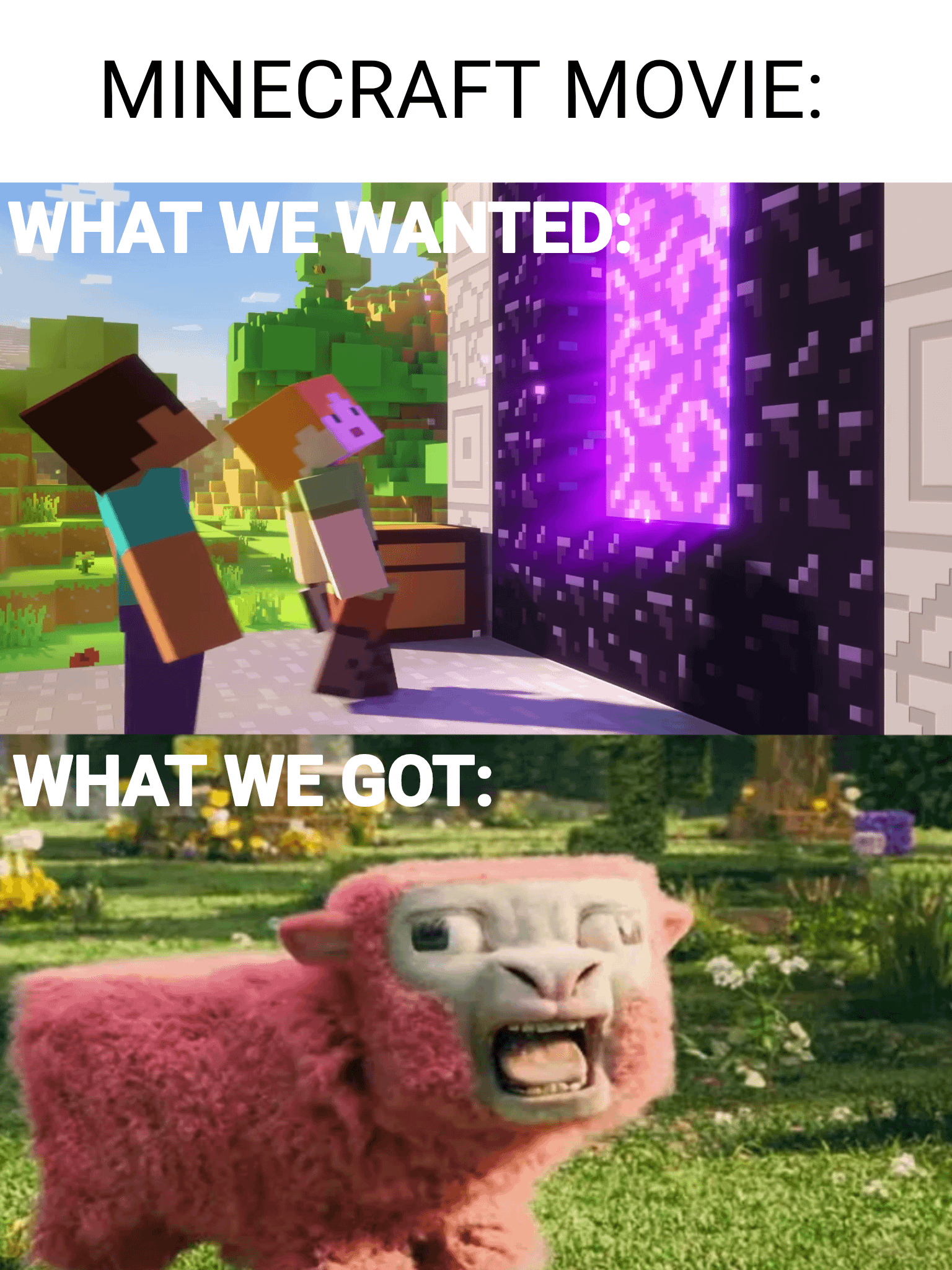 Minecraft Memes - "2019 Sonic Trailer 2.0: Minecraft Edition"